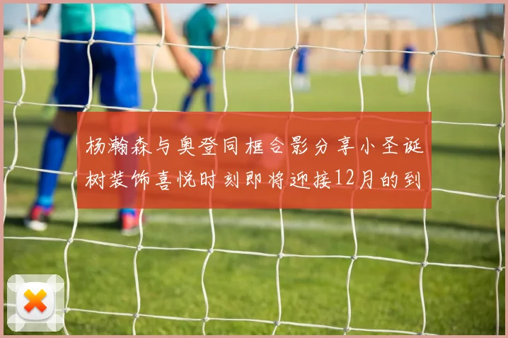 杨瀚森与奥登同框合影分享小圣诞树装饰喜悦时刻即将迎接12月的到来